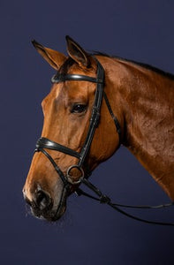 Dy'on Anatomic Flash Noseband bridle