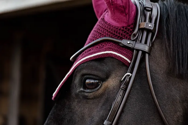 ear veil kentucky bordeaux