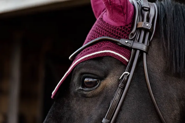 Kentucky Fly Veil Wellington Velvet