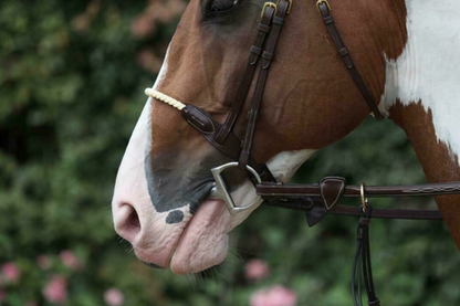 Dy'on Rope Noseband