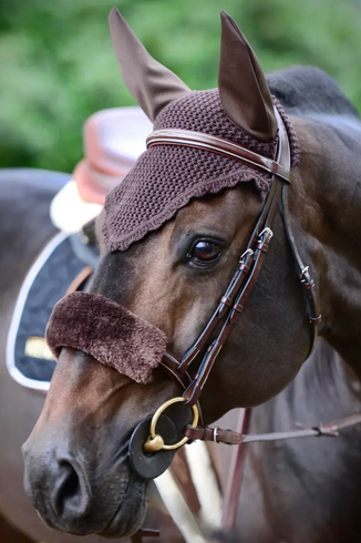 Kentucky Fly Veil