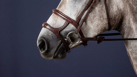 Dy'on Double Noseband