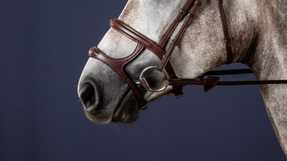 Dy'on Double Noseband