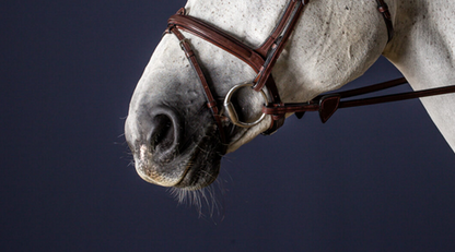 Dy'on Flash Noseband