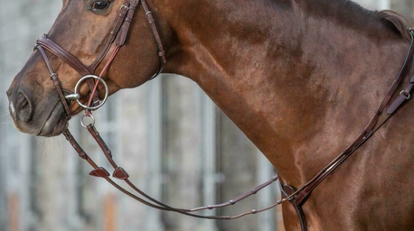 Dy'on 5/8 Hunter Reins With 7 Leather Loops