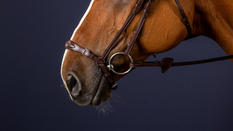 Dy'on Adjustable Drop Noseband