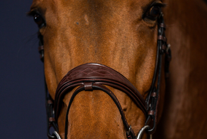 Dy'on Anatomic Flash Noseband