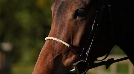 Dy'on Rope Noseband