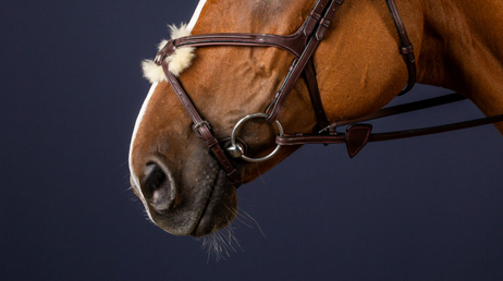 Dy'on Fig 8 Noseband