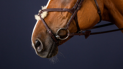 Dy'on Fig 8 Noseband