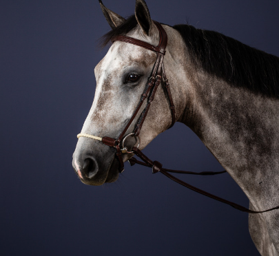 Dy'on Rope Drop Noseband bridle