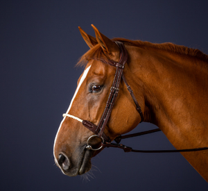 Dy'on Rope Noseband bridle