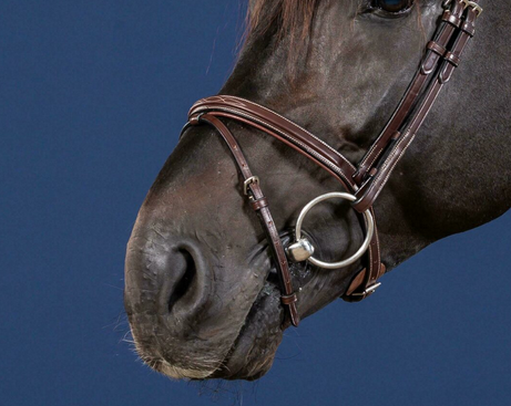 Dy'on Flash Noseband