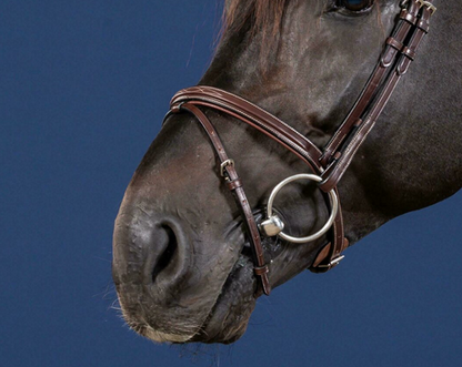 Dy'on Flash Noseband