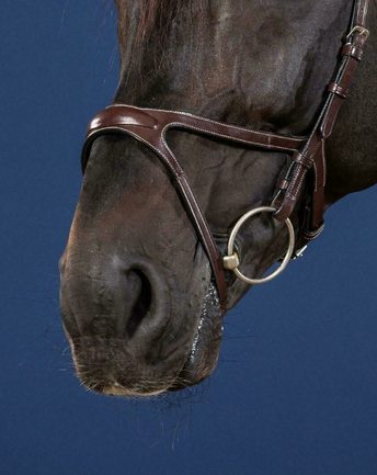 Dy'on X-Fit Noseband