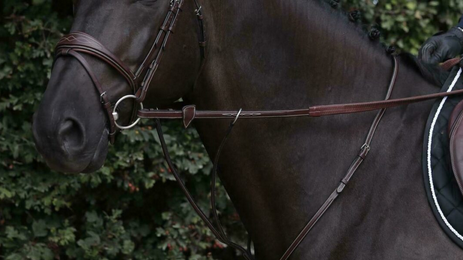 Dy'on 1/2 Rubber Reins