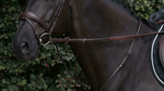 Load image into Gallery viewer, Dy&#39;on 1/2 Rubber Reins
