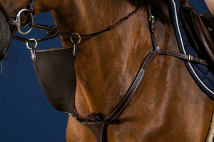 Dy'on Elastic BIB Martingale Attachment