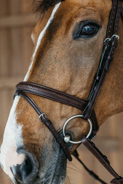 Dy'on Plaited Flash Noseband bridle