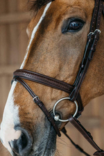 Load image into Gallery viewer, Dy&#39;on Plaited Flash Noseband bridle
