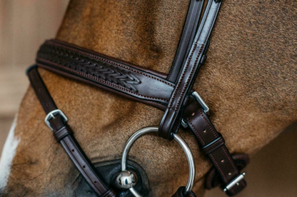 Dy'on Plaited Flash Noseband Bridle with Pull back