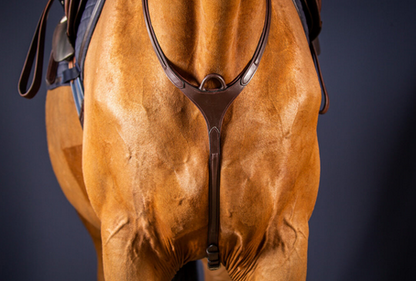 Dy'on Bridge Breastplate