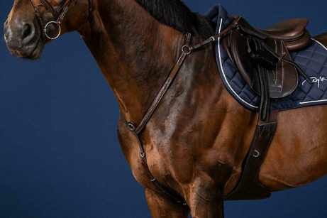 Dy'on Bridge Breastplate