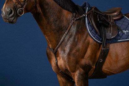 Dy'on Bridge Breastplate