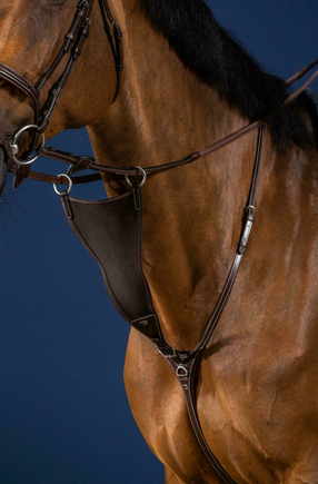 Dy'on Elastic BIB Martingale Attachment