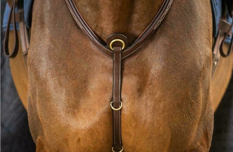 Dy'on Bridge Breastplate