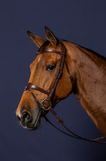 Load image into Gallery viewer, Dy&#39;on Anatomic Flash Noseband bridle
