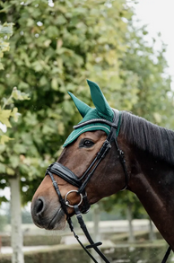 dark green ear bonnet