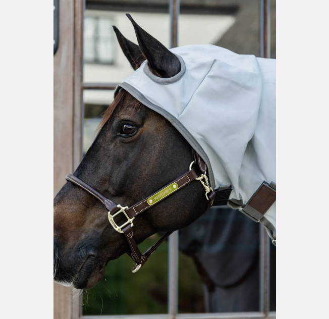 Kentucky Eczema fly sheet with neck for fly protection