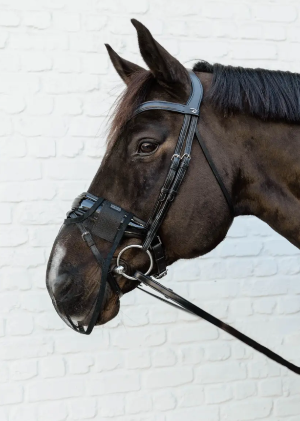 Kentucky nose net for bridle