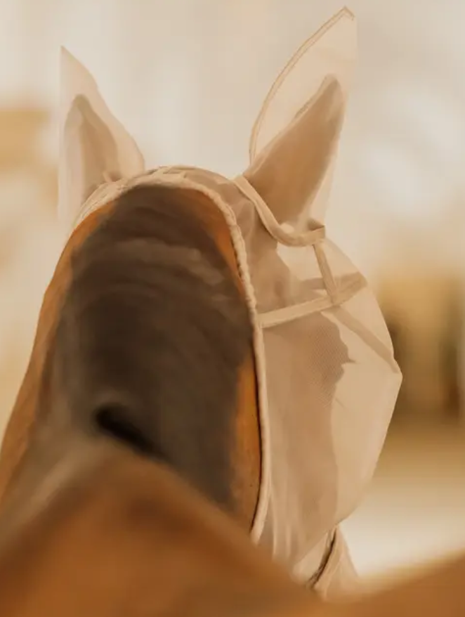 Kentucky horsewear fly mask classic with ears and nose in silver showing the ears