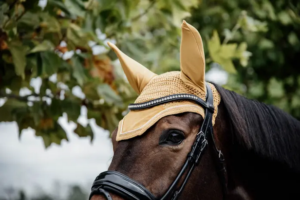 mustard ear bonnet