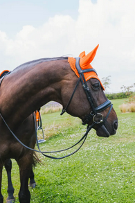 Kentucky Fly Veil Wellington Diamond Rope