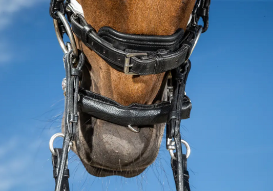 Dy'on Chain Protector with Neoprene