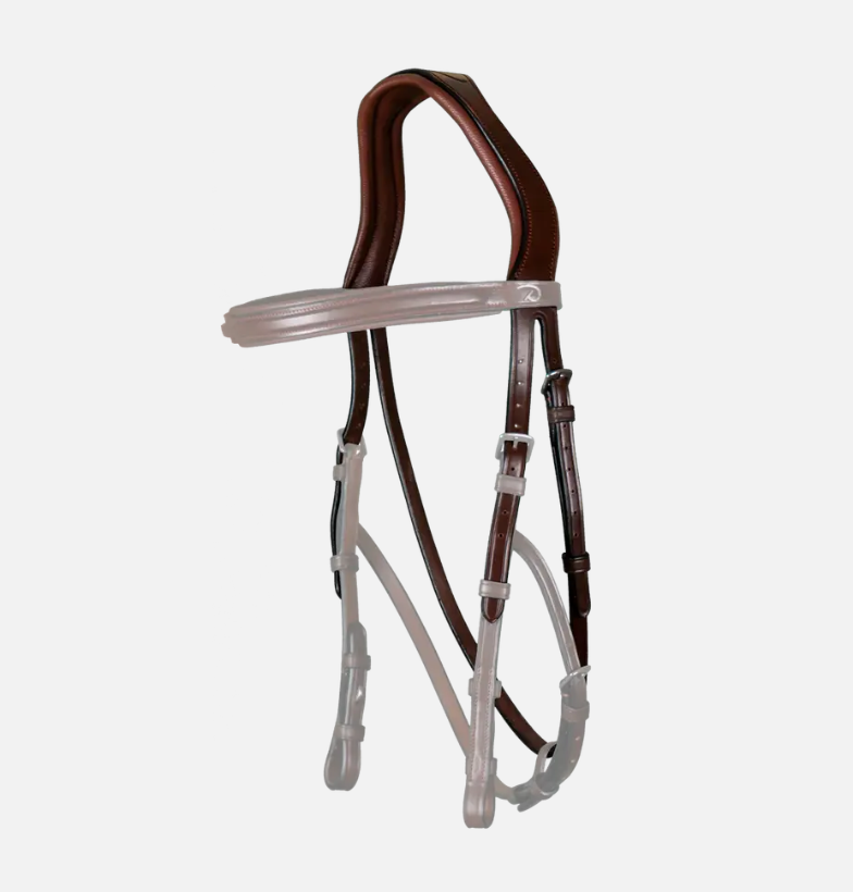 Dy'on Hackamore Headpiece