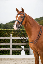 Load image into Gallery viewer, Dy&#39;on Double Bridle Patent Large Crank Noseband with White padding Flat Leather
