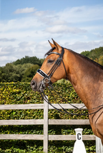 Load image into Gallery viewer, Dy&#39;on Double Bridle Patent Large Crank Noseband with White padding Round Leather
