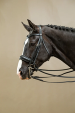 Load image into Gallery viewer, Dy&#39;on Double Bridle Matte Large Crank Noseband Flat Leather
