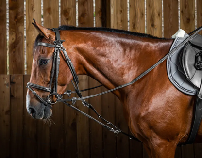 Dy'on De Gouge Nylon Ropes