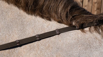 Dy'on Web reins with 9 leather loops
