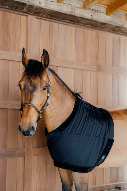 Kentucky Chest Protection