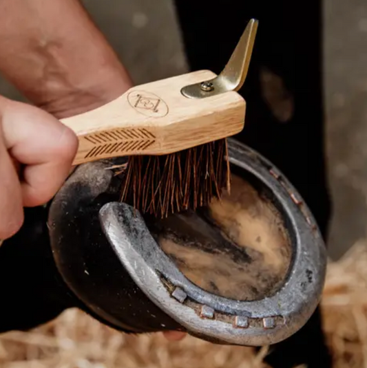 Kentucky Hoof pick