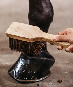 Kentucky Hoof Brush