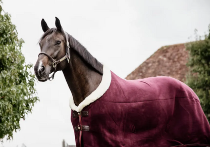 Kentucky Fleece Show rug
