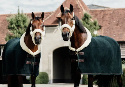 Kentucky Fleece Show rug