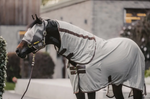 Load image into Gallery viewer, Kentucky Mesh Fly Rug Classic
